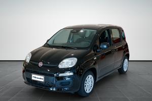 FIAT Panda 1.0 70cv Hybrid Icon