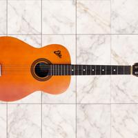 EKO Fiesta - Chitarra acustica '60