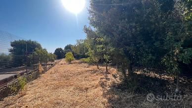 Guspini -Terreno agricolo con locale C2