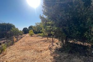 Guspini -Terreno agricolo con locale C2