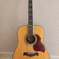 Chitarra Acustica Richwood  D70 VA elettrificata