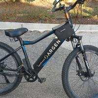 bici elettrica argento