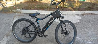 bici elettrica argento