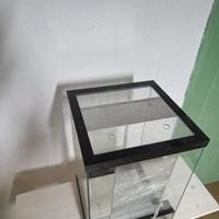 Terrario per rettili