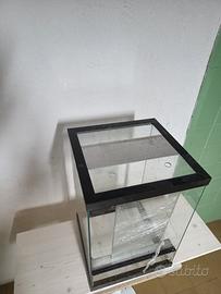 Terrario per rettili