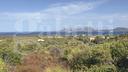 terreno-agricolo-olbia-cod-rif-3251330vcg-