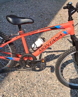 Bicicletta bambino montana 20 pollici 6 marce