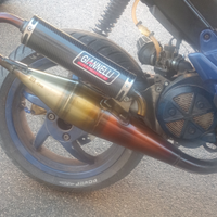 Giannelli shot V4 per piaggio