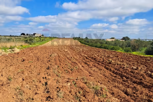 Terreno - Mazara del Vallo