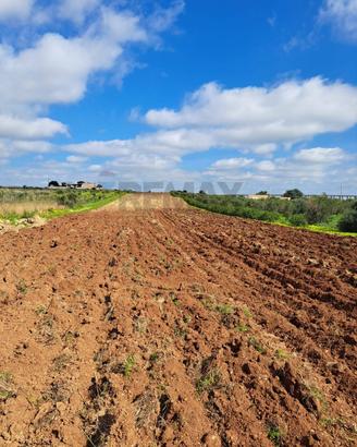 Terreno - Mazara del Vallo