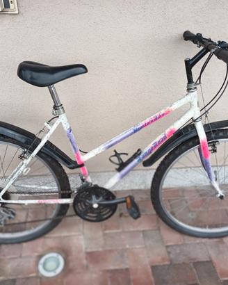bicicletta