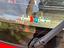 Immagine 29