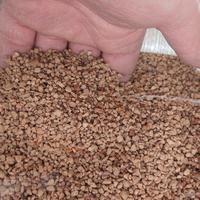 nocciolino di olive pulito e asciutto