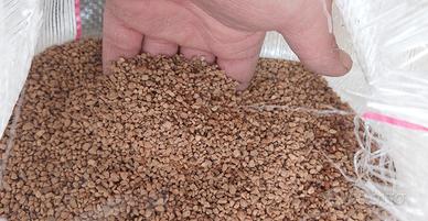 nocciolino di olive pulito e asciutto