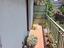 Immagine 12