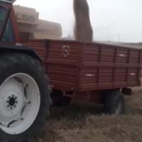 Rimorchio agricolo pettorruso 50ql