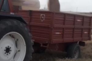 Rimorchio agricolo pettorruso 50ql