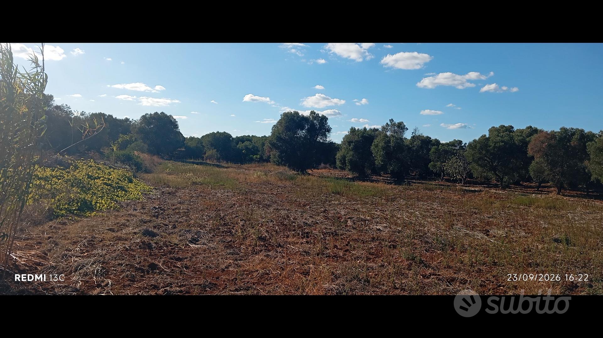 Ampio terreno vicino Ostuni - Altro