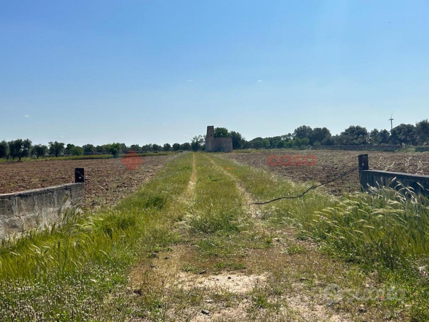 Terreno Agricolo Francavilla Fontana [LM2650.1VCG] - Vista 2