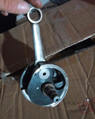 albero drt 
