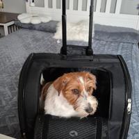 Trolley per cani piccoli Croci