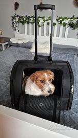 Trolley per cani piccoli Croci