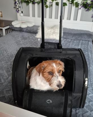 Trolley per cani piccoli Croci