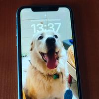 iPhone 11 128 GB