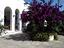 Immagine 5
