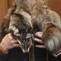 sciarpa collo Volpe vera pelliccia