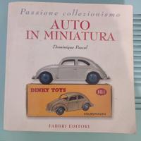Auto in miniatura
