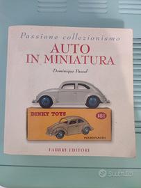 Auto in miniatura