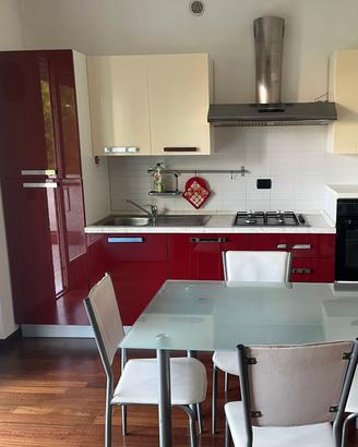 Cucina lineare laccata rossa