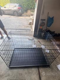 Kennel per cani