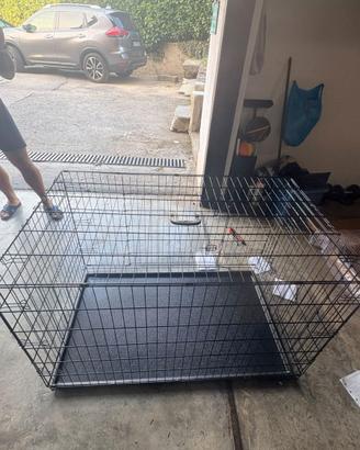 Kennel per cani