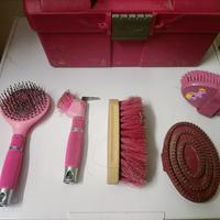 kit pulizia cavallo con valigetta