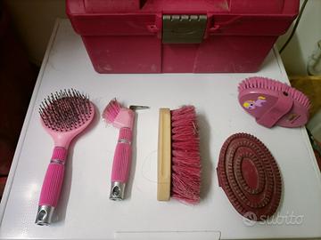 kit pulizia cavallo con valigetta