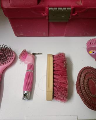 kit pulizia cavallo con valigetta