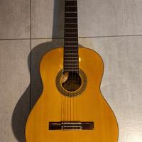 Chitarra classica Jinrose DC-30