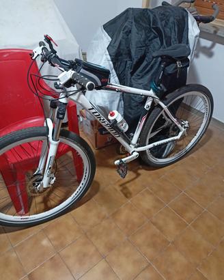 MTB tornado 29