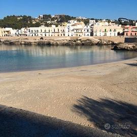 La terrazza salentina