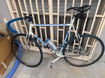 Moser leader