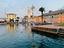 Immagine 20