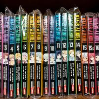 trinity Seven 1-17+15.5