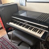 fender rhodes 54 + fender rumble 200 no separati