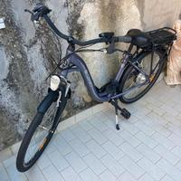 Bicicletta elettrica