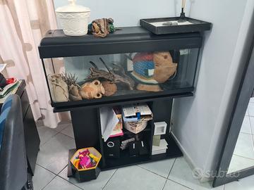 Acquario 100 lt