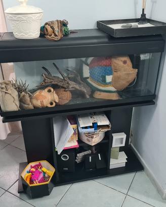 Acquario 100 lt