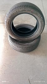 gomme estive 