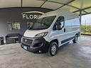 fiat-ducato-2-3-mjt-120cv-x-alimenti-e-farmaci